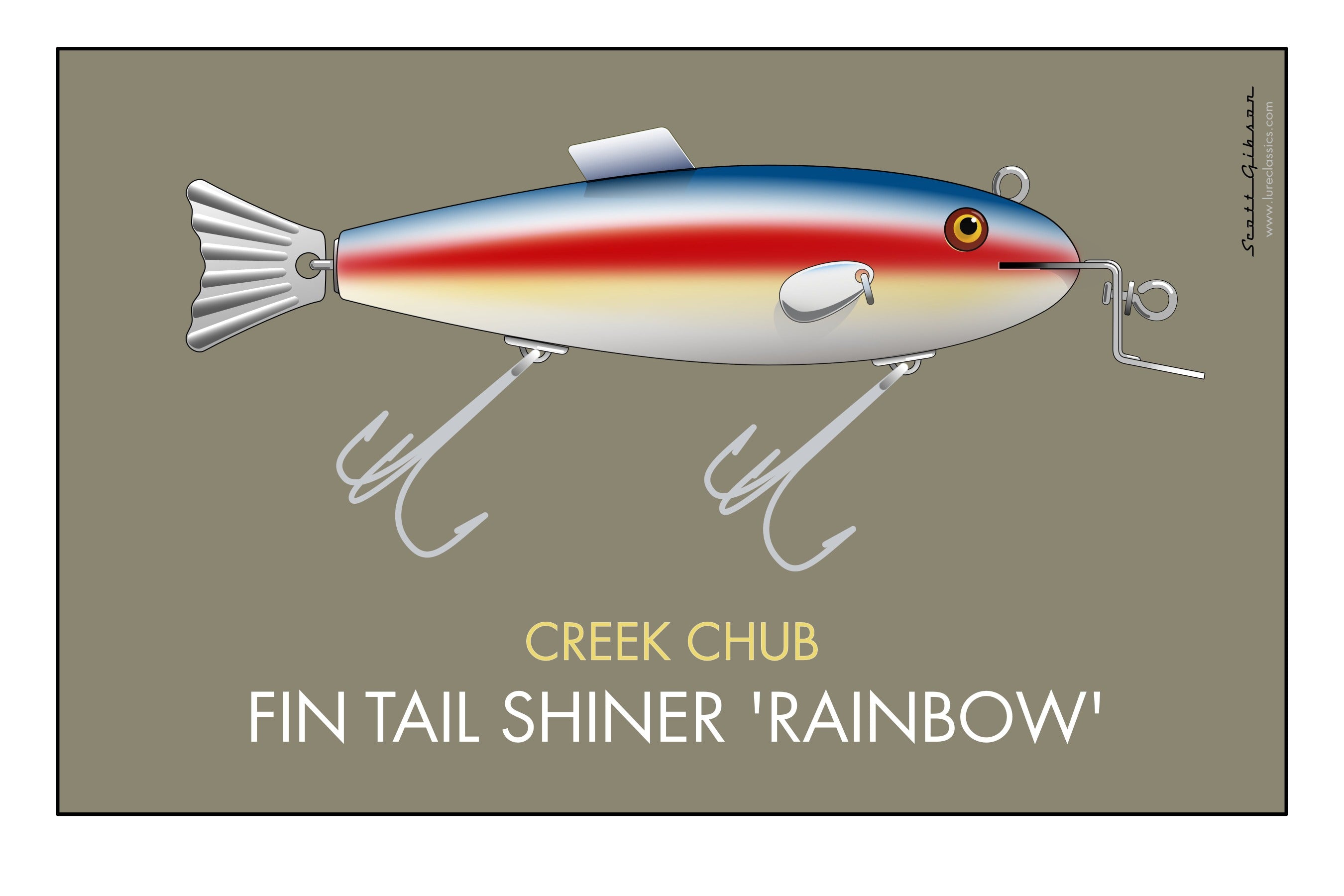 Creek Chub Fin Tail Shiner 'Rainbow'