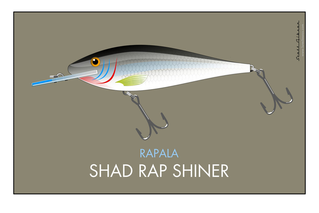 Shad Rap Shiner | Fishing Lure Art